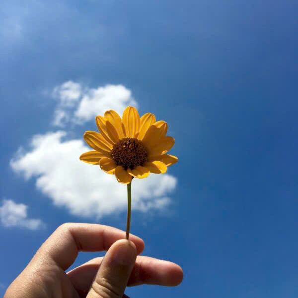 Bà ĐIỆP THỊ HÀ VY - HR Manager SmartBDS